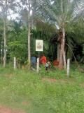 Location picture