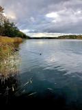 Afbeelding van de locatie
