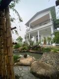 Location picture