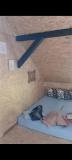 Bild des Orts