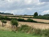 Afbeelding van de locatie