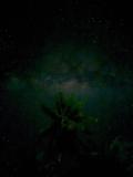 Bild des Orts