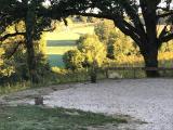Bild des Orts