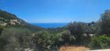 Location picture