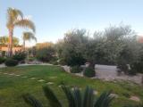 Location picture