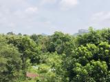 Location picture