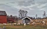 Bild des Orts