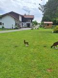 Bild des Orts