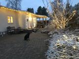 Bild des Orts
