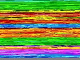 Bild des Orts