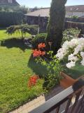 Bild des Orts
