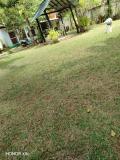 Location picture