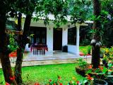 Location picture