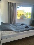Bild des Orts