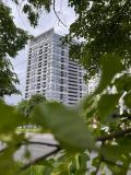 Afbeelding van de locatie