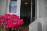 Bild des Orts