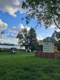 Afbeelding van de locatie
