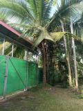 Location picture