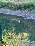 Bild des Orts