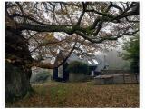 Afbeelding van de locatie