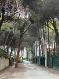 Location picture