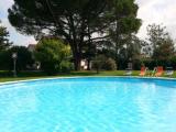 Immagine del luogo