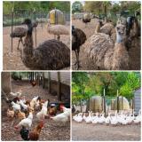 Afbeelding van de locatie