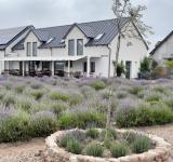 Afbeelding van de locatie