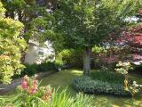 Afbeelding van de locatie