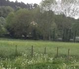 Bild des Orts