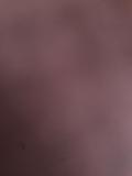 Bild des Orts
