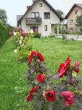 Bild des Orts
