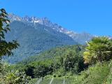 Imagen del lugar