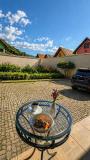 Bild des Orts