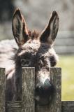 Bild des Orts
