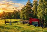 Afbeelding van de locatie