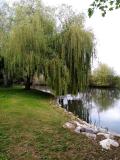 Location picture