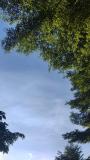 Bild des Orts
