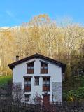 Bild des Orts