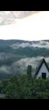 Bild des Orts
