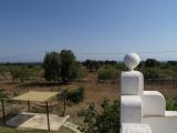 Location picture