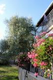 Afbeelding van de locatie