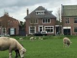 Afbeelding van de locatie