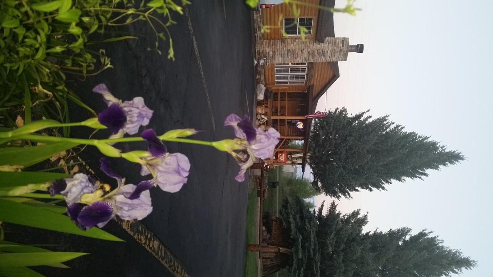 Popular attractions Area Nearby Property