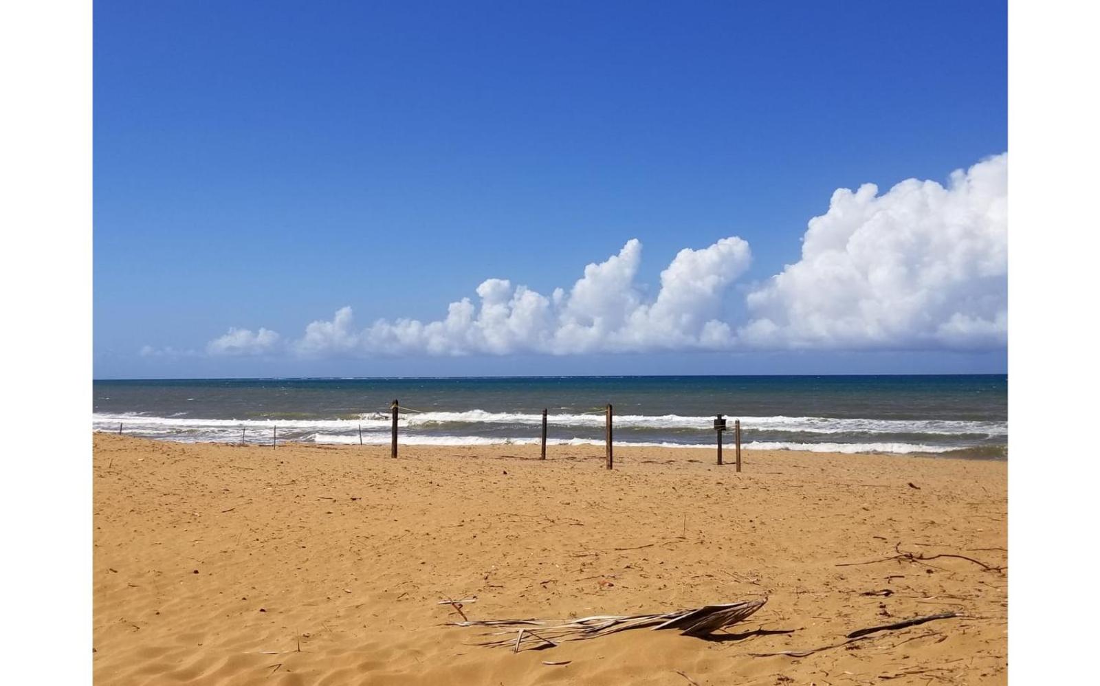 Popular attractions Area Nearby Property