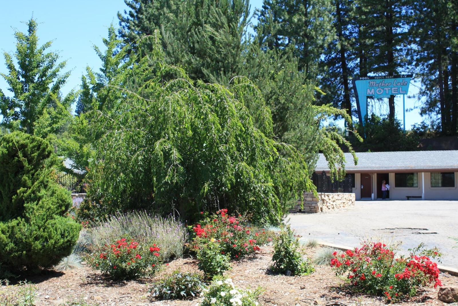 Popular attractions Area Nearby Property