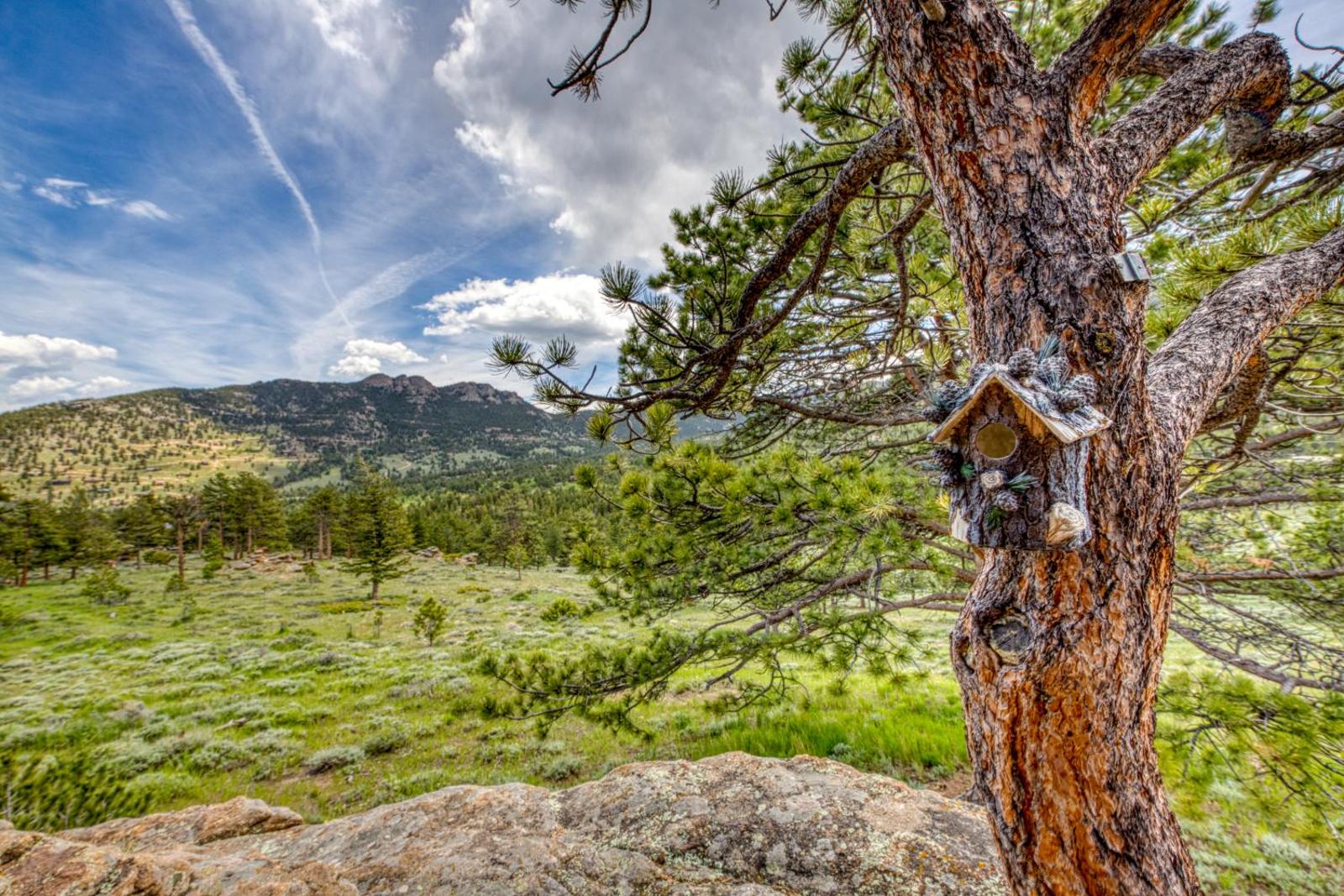 Popular attractions Area Nearby Property