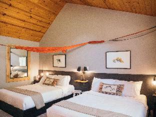 LOGE Mt. Shasta