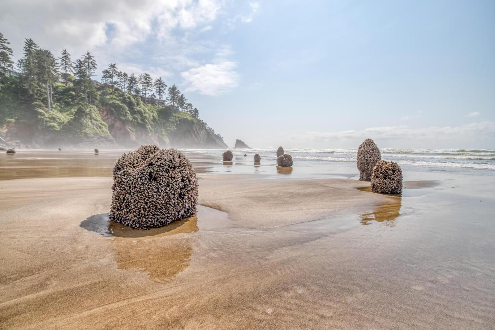 Breakers Beach House #8 Main image 2