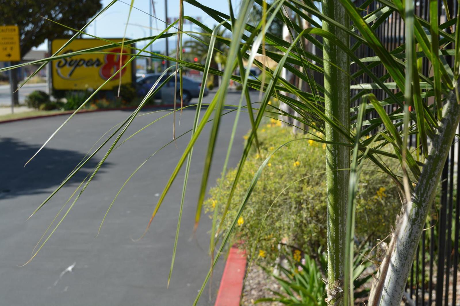 Popular attractions Area Nearby Property